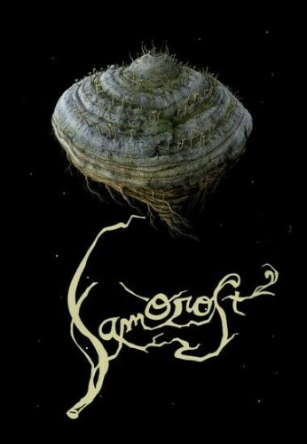 Samorost 2