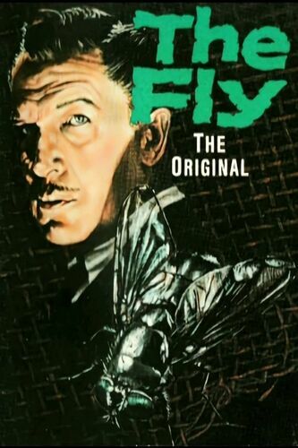 The Fly Old